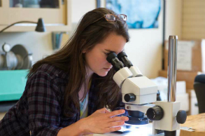 Student looking through a microscope